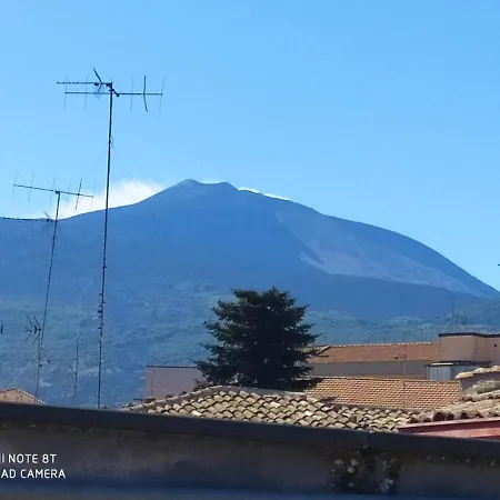 S.nicola